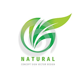 Nature - concept business logo template vector illustration. Abstract green leaves creative sign. Organic product icon.