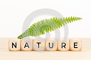 Nature concept. Wooden blocks with text and green leaf on table