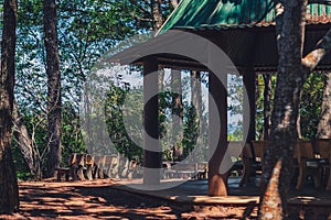Nature coniferous mix deciduous forest park open view background. Gazebo gable green roof canopy, stone benches. Rain photo
