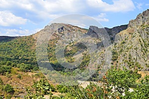 Nature conservation area Eastern Rhodopes for rare Vulture species