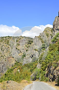 Nature conservation area Eastern Rhodopes for rare Vulture species