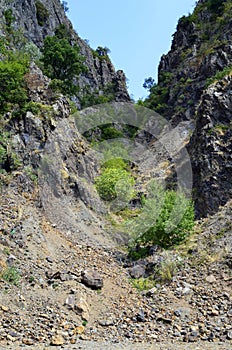 Nature conservation area Eastern Rhodopes for rare Vulture species