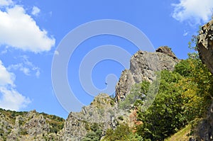 Nature conservation area Eastern Rhodopes for rare Vulture species