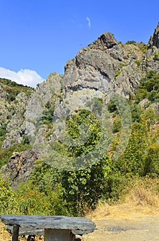 Nature conservation area Eastern Rhodopes for rare Vulture species