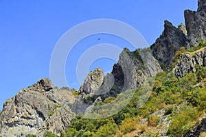 Nature conservation area Eastern Rhodopes for rare Vulture species