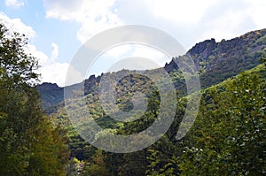 Nature conservation area Eastern Rhodopes for rare Vulture species