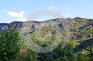 Nature conservation area Eastern Rhodopes for rare Vulture species