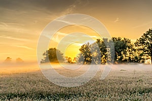 Nature conservation area at sunrise