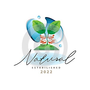 nature conservation water drop land tree beauty natural illustration logo template design for brand or company and other