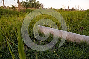 Nature contaminant - pipe for wastewater among green grass on wastelands. Overgrown area and environmental pollution