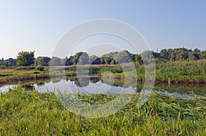 Nature in the countryside. Lake, meadow, forest, sky