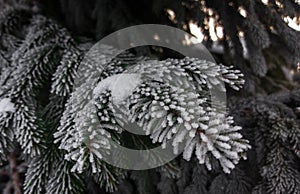 Nature covered in the snow during cold Winter in the country on the hills.