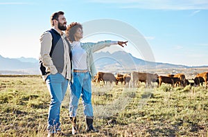 Nature, cows and couple standing on farm for sustainable, agriculture or organic livestock maintenance. Agro, farming