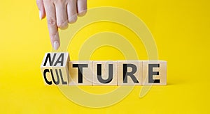 Nature and Culture symbol. Businessman hand points at turned wooden cubes with words Culture and Nature. Beautiful yellow