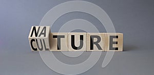 Nature and Culture symbol. Turned wooden cubes with words Culture and Nature. Beautiful grey background. Business concept. Copy