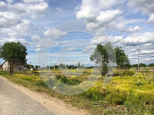 Nature. Cumulus clouds. Meadow. Dirt road