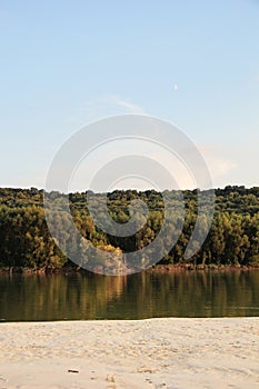 Nature on the Danube River in Vojvodina, Serbia