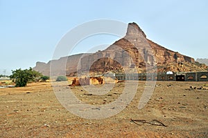 Nature in the desert in Al Ula, Saudi Arabia