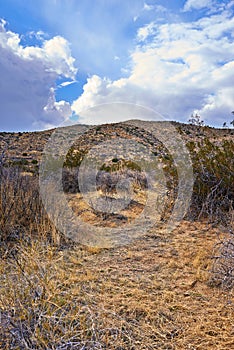 Nature, desert and plants with view, enviroment and blue sky for travel or tourism. California, mountain and landscape