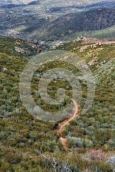 Nature, desert and trail with foliage, enviroment and blue sky for travel or tourism. California, mountain and land for photo