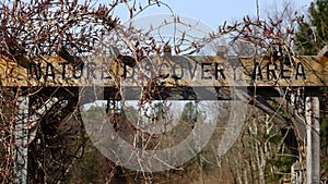 Nature Discovery Area Sign With Vines