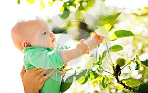 Nature discovery by baby