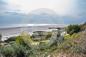 The nature of the Don region, Taganrog Bay