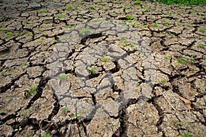 Nature of dry soil after first raining