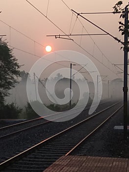 Nature dusk railway fog plants