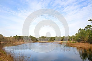 Nature at Dutch Vlieland