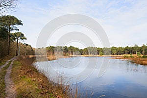 Nature at Dutch Vlieland photo