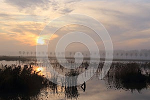 Nature early morning sunrise sky, trees and lake gelderland