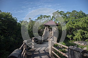 Nature & Eco resort in sri lanka