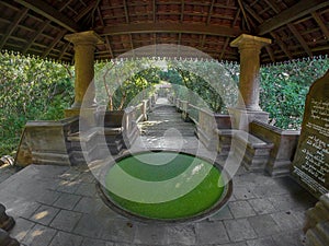 Nature & Eco resort in sri lanka