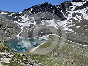 Nature in Engadin, GraubÃ¼nden, Switzerland