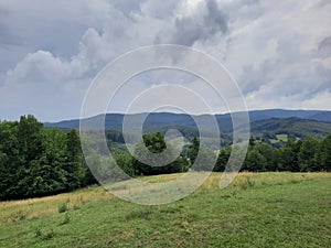 nature field trees cloudy blueforest