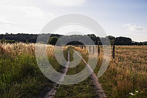 Nature and small lake