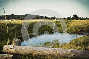 Nature and small lake