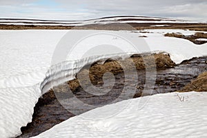 Nature at Flatruet Harjedalen Sweden