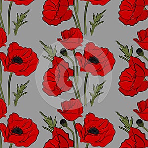 Nature floral poppy pattern vector image. Red petal nature plants isolated on blue background. Botany spring summer