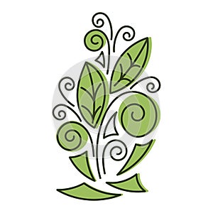 Nature flower pattern design element. Hand drawn leaves, curls, and Doodle elements. Graphic vector illustration