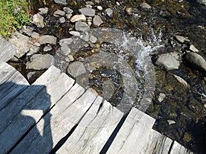 nature forest brook