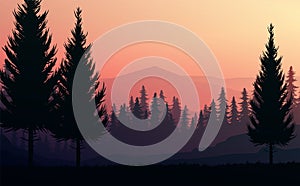 Nature forest Natural Pine forest mountains horizon. Landscape wallpaper. Sunrise and sunset. Illustration vector style.