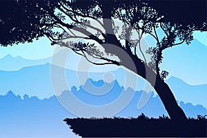 Nature forest Natural Pine forest mountains horizon Landscape wallpaper Sunrise and sunset Illustration vector style Background