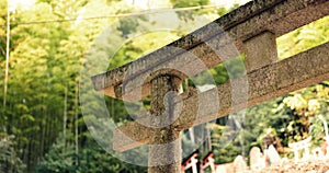 Nature, forest and stone Torii gate in Kyoto with peace, mindfulness and travel with spiritual history. Architecture