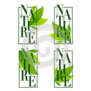 Nature frames ,organic leaves emblems, stickers, and logo in elegant flat style