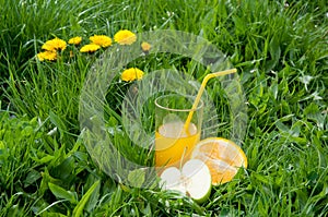 Nature. Fresh juice in glass staying on green grass with yellow dandelions near half of apple and orange