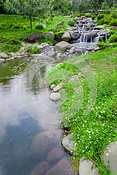 Nature garden with cascade small waterfall