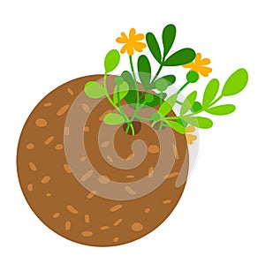 Nature garden ground with growing plant, vector illustration. Agriculture spring sprout flat icon, small seedling