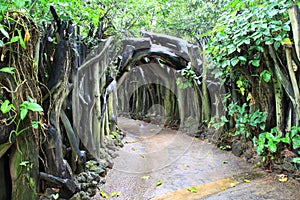 Nature gate
